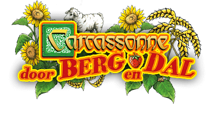 Carcassonne door Berg en Dal